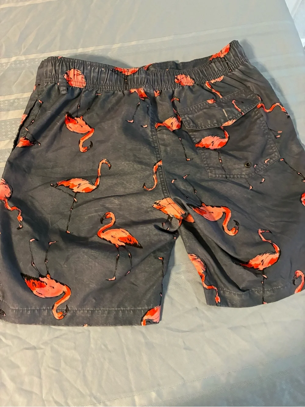 Men's Large Swim Trunks with Pink Flamingo Print